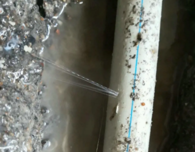 莆田市测漏水哪家好