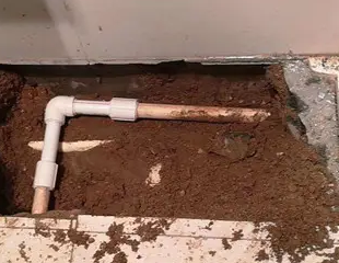 莆田市测漏水哪家好