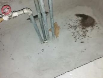 莆田市卫生间测漏水价格明细