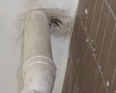 莆田市漏水检测哪家好